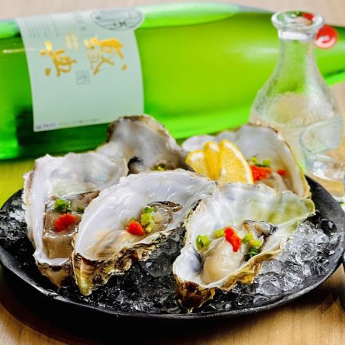 Live oysters from Senpoji, Hokkaido