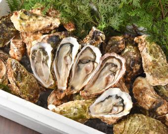 Very popular! Enjoy 30 oyster dishes with all-you-can-eat and drink for 3,500 yen