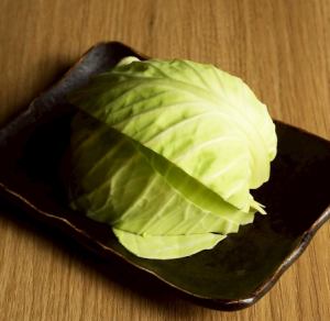 卷心菜