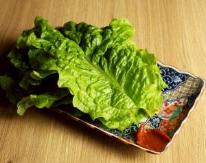 生菜