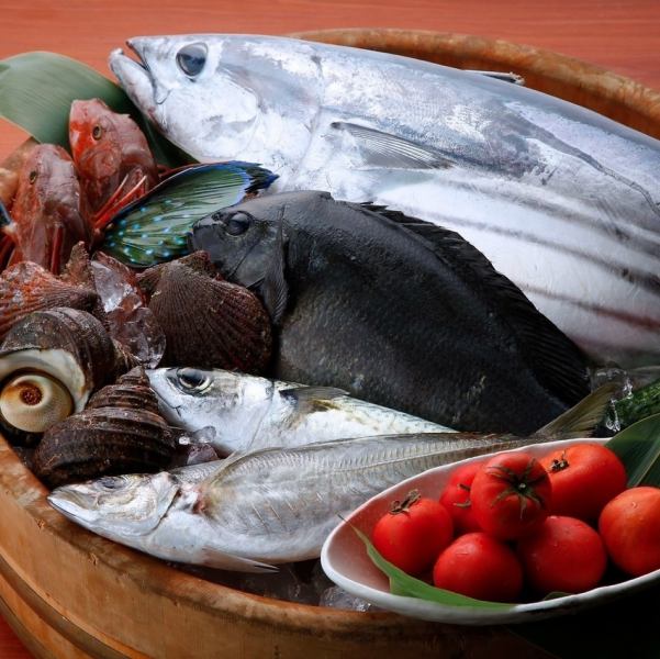 土佐の豊かな自然が育てた、高知県産旬の厳選食材