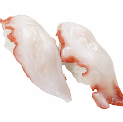 たこ/たこカルパッチョ