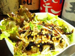 Churi 蘿蔔沙拉