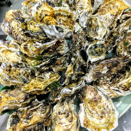 1 kg additional grilled oysters