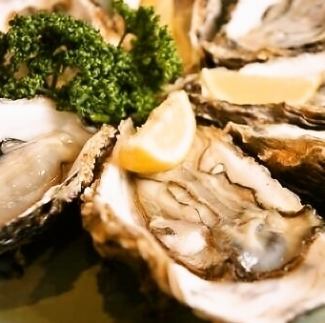 Brand raw oysters (true oysters, rock oysters)