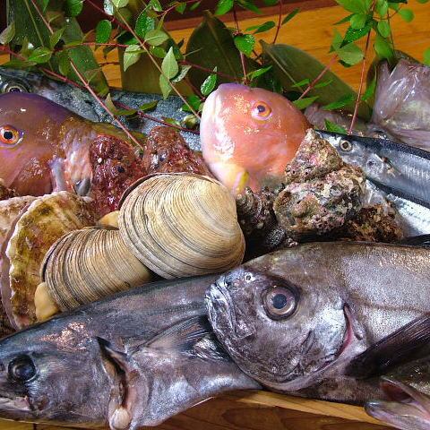 旬鮮魚が大人気！