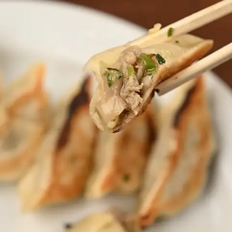 新名物!勝手に名古屋餃子