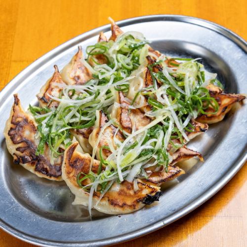 かっちゃん特製!ネギ塩餃子 10ヶ