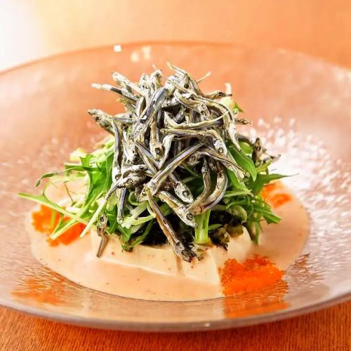 Shima Tofu and Kinago Chirimen Salad