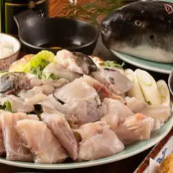 Fugu hotpot (1 portion)