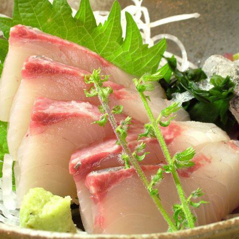 Kanoya amberjack sashimi
