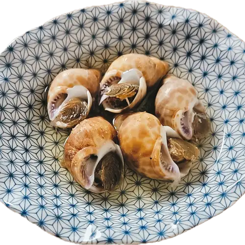 バイ貝のおでん