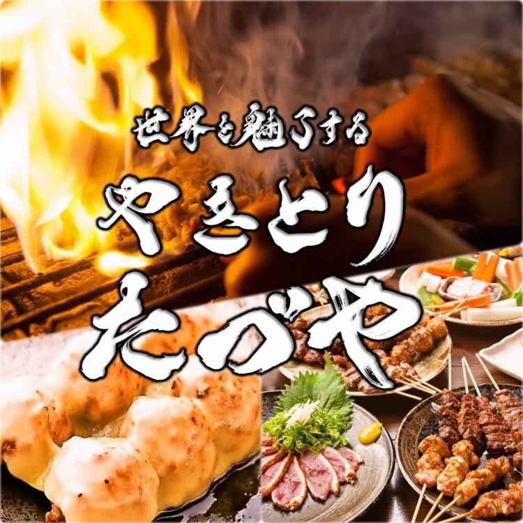 やきとり たづや 蒲生四丁目店【公式】