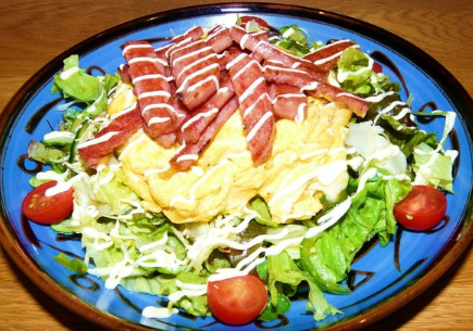 spam egg salad