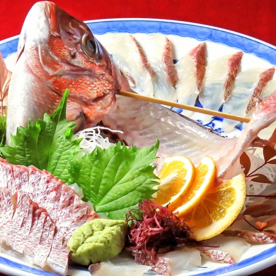 ≪玄界灘鮮魚活造り×日本酒≫堪らない最高の組み合わせ！