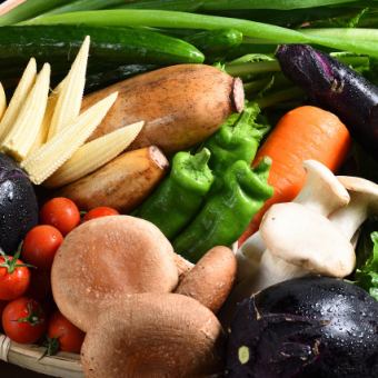 【プレミアム飲み放題付き】季節野菜を味わうこだわりコース