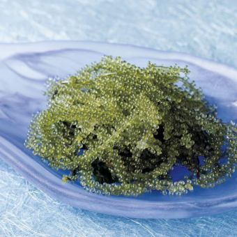 [Summer Satsuma Hayato Course] Weekday-only course with sea grapes and Amami chicken rice, 3 hours of all-you-can-drink included 5,000 yen ⇒ 3,980 yen