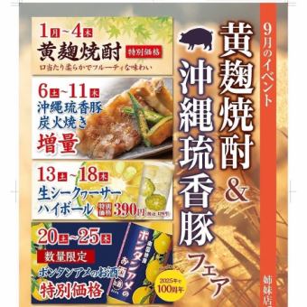 [All-you-can-drink single item plan] Rare shochu and Sapporo Red ★ Bottled beer included for 2 hours all-you-can-drink for 1,800 yen