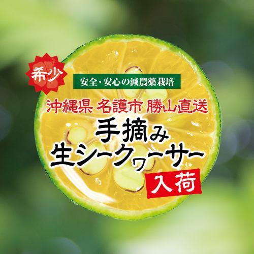 【稀少】 沖縄県名護市 勝山直送 手掴み生シークヮーサー入荷!