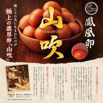 卵かけごはん『極上の濃厚卵『鳳凰卵 山吹』を使用』