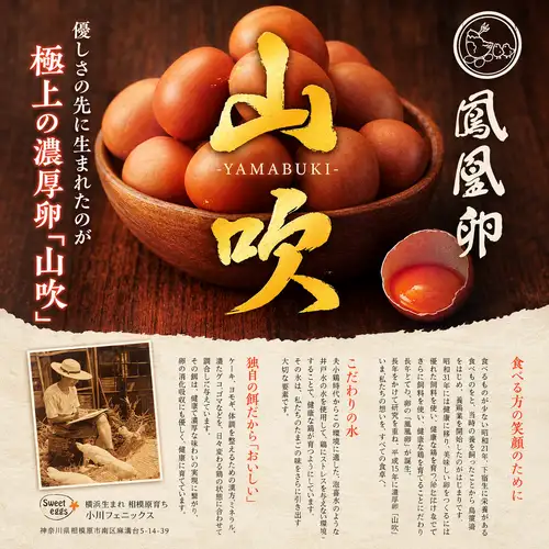 卵かけごはん『極上の濃厚卵『鳳凰卵 山吹』を使用』