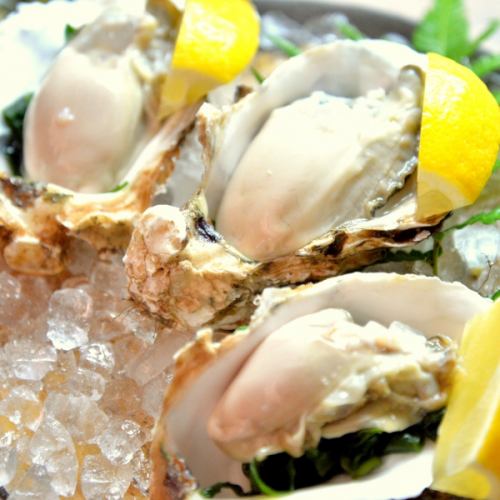 Enjoy fresh oysters throughout the year