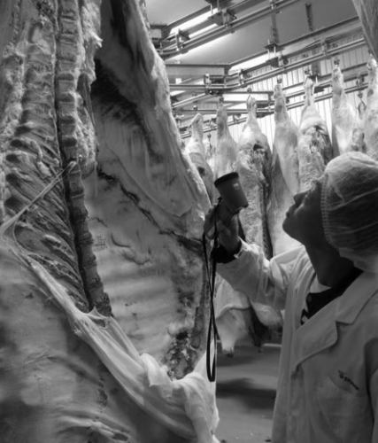 Thoughts on the carefully selected Hida beef