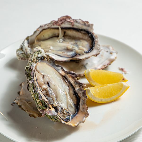 【広島直送!】旨味たっぷりの大振り牡蠣を楽しもう