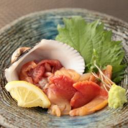 [Single serving of sashimi] Ark shell