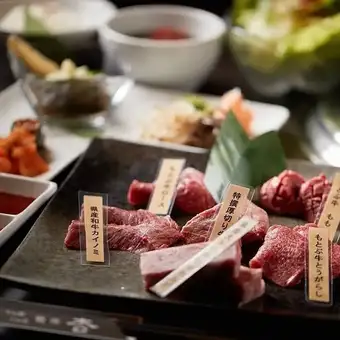 【僅限餐點】高級烤肉套餐 <共7道菜> 宴會、派對、週年紀念的完美之選