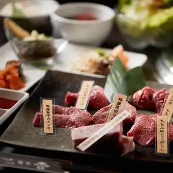 【僅限餐點】高級烤肉套餐 <共7道菜> 宴會、派對、週年紀念的完美之選