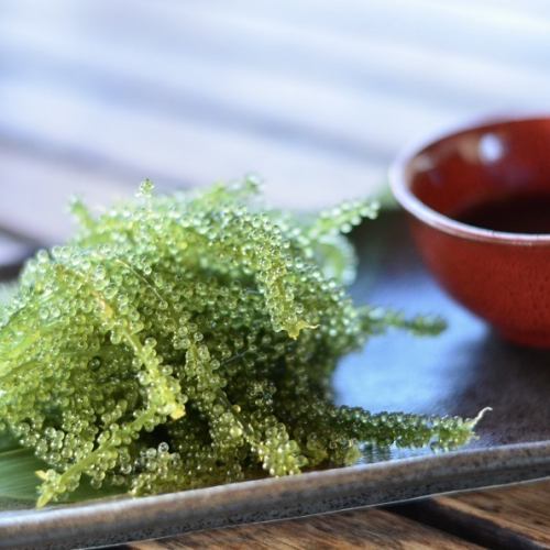 活!!海ぶどう～沖縄直送～