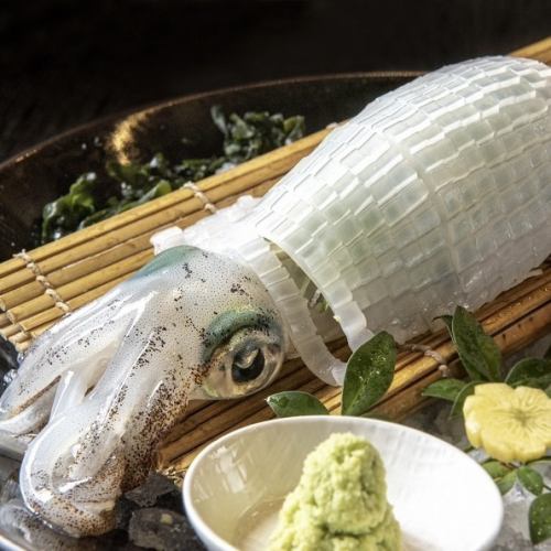 呼子イカ姿造り-〆は天ぷら・塩焼き-