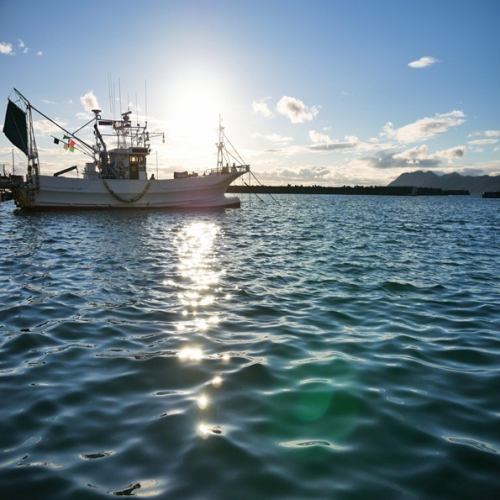 毎日仕入れ◆市場直送の”極”新鮮!!自慢の海鮮に酔う