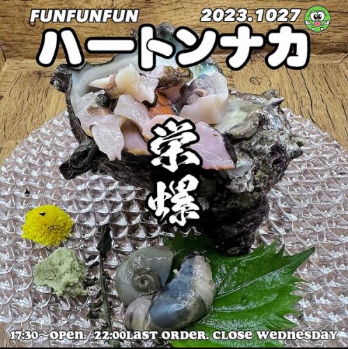 Hokkaido turban shell sashimi