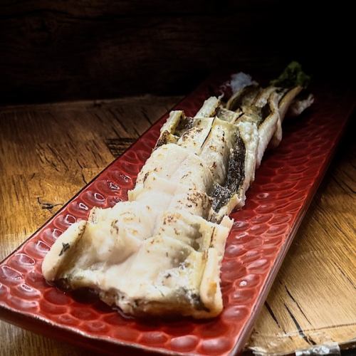 Heartonaka®︎Izakaya

- White-grilled conger eel -
We have procured wild conger eel from Miyagi Prefecture.
Dried bones make bone crackers
Grill the liver and make soup stock using the head.

Thank you for today Saturday too
Thankfully it's crowded on Sundays.

#HeartNaka #CongerEel