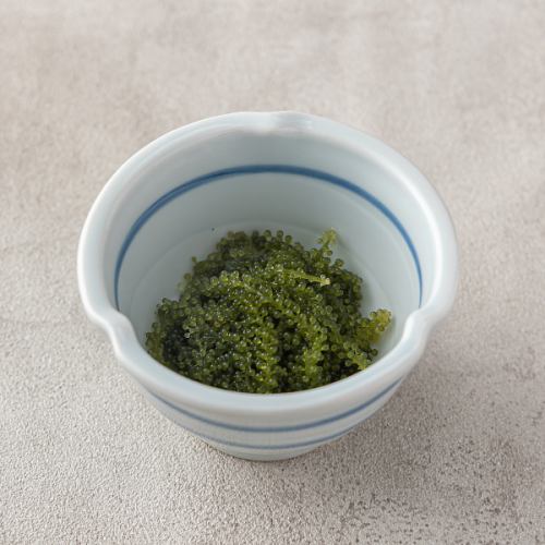 海葡萄