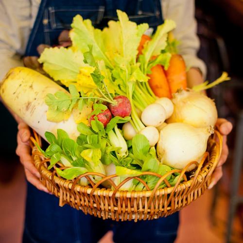 『シェフが毎日市場で仕入れる新鮮野菜の数々』