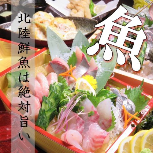 Enjoy the fresh fish of Hokuriku!