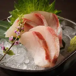 黃尾魚刺身