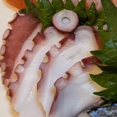 明石産タコ刺身