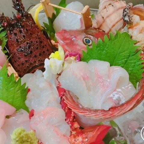 特选5件套