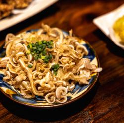 mimiga橙子酱