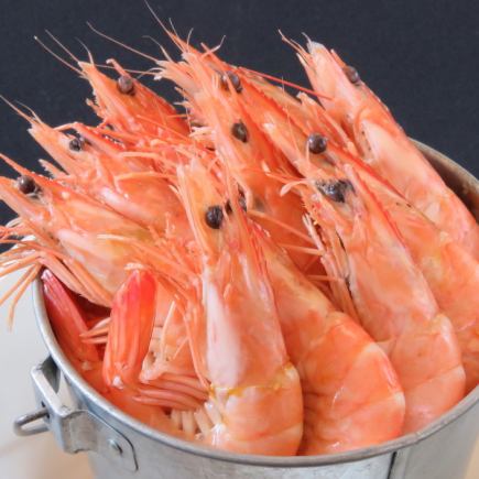 Reservation required by the day before! Daruma's standard [Shrimp Course] 8 shrimp dishes, 2 hours of all-you-can-drink draft beer included, 4,600 yen