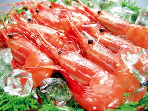 Botan shrimp sashimi (1 piece)