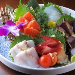 本日特選鮮魚刺身五点盛り