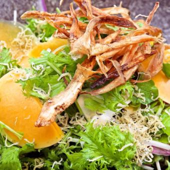 十五種野菜と揚げじゃこのサラダ