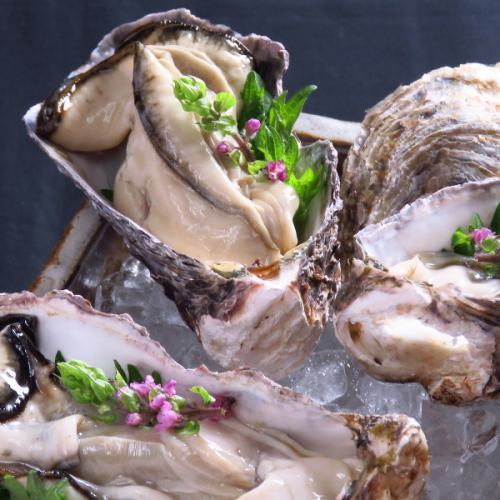 Chef's carefully selected fish tank dishes ☆ "Large oysters", "Seasonal live fish sashimi", etc...