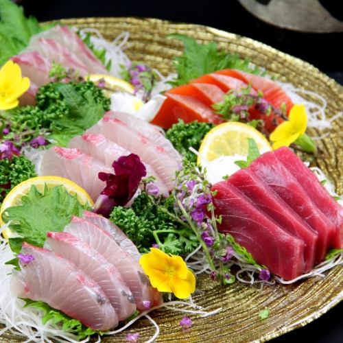 Bungo Channel: Sashimi