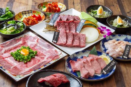 【夏☆宴会おすすめ！】【90分飲放】お肉はやっぱり厚切りが旨いっ！【極コース】　全12品